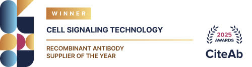 CST Named 2025 Recombinant Antibody Supplier of the Year by CiteAb