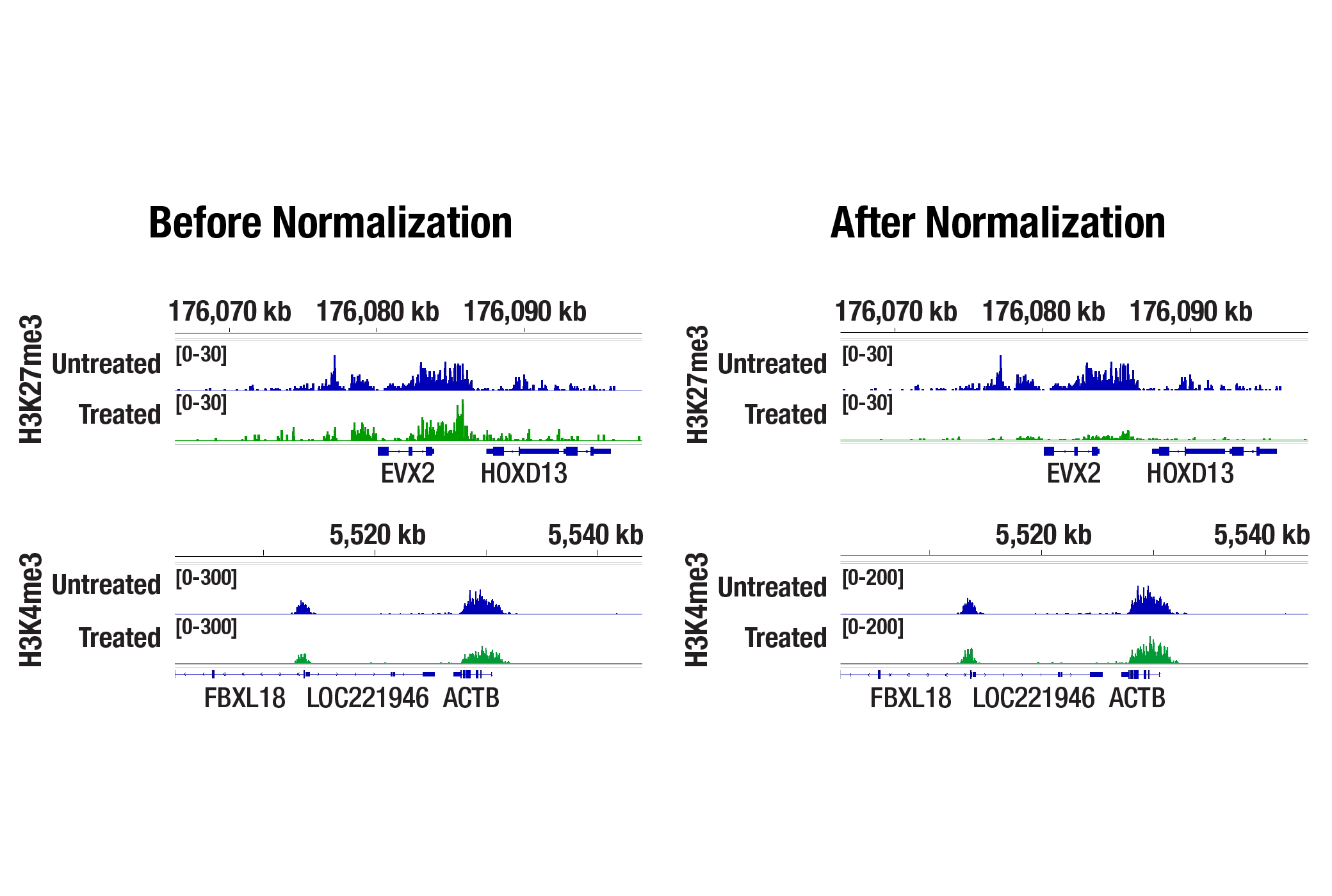 CUT&Tag analysis of MCF7 cells showing reduced H3K27me3 binding at the HOXD cluster after Tazemetostat treatment, with unchanged H3K4me3 signal at the ACTB gene.