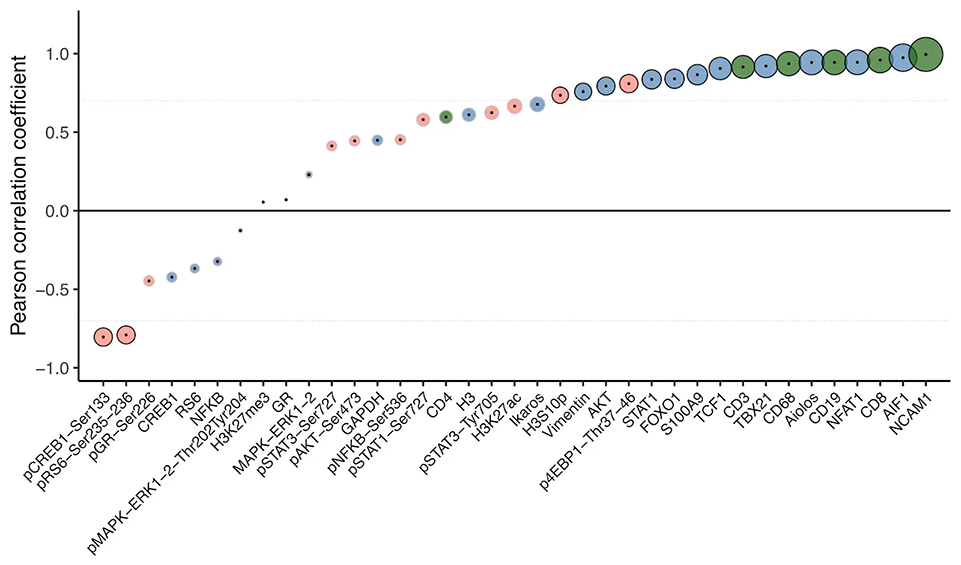 A scatterplot graph showing expression levels of mRNA and proteins.