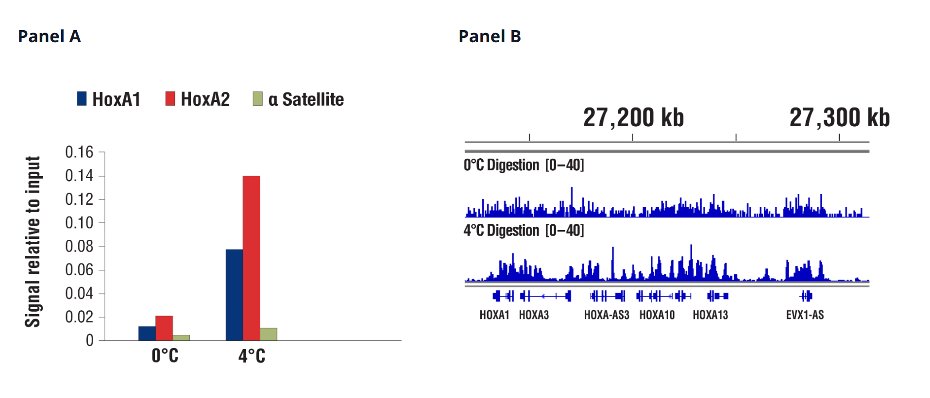 4°C vs. 0°C CUT&RUN qPCR data SUZ12