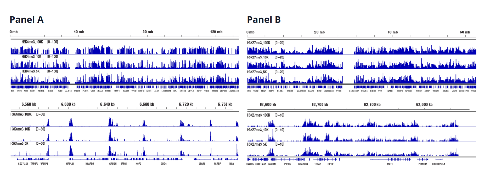H3K4me3 NGS data for 100K, 10K & 5K cells
