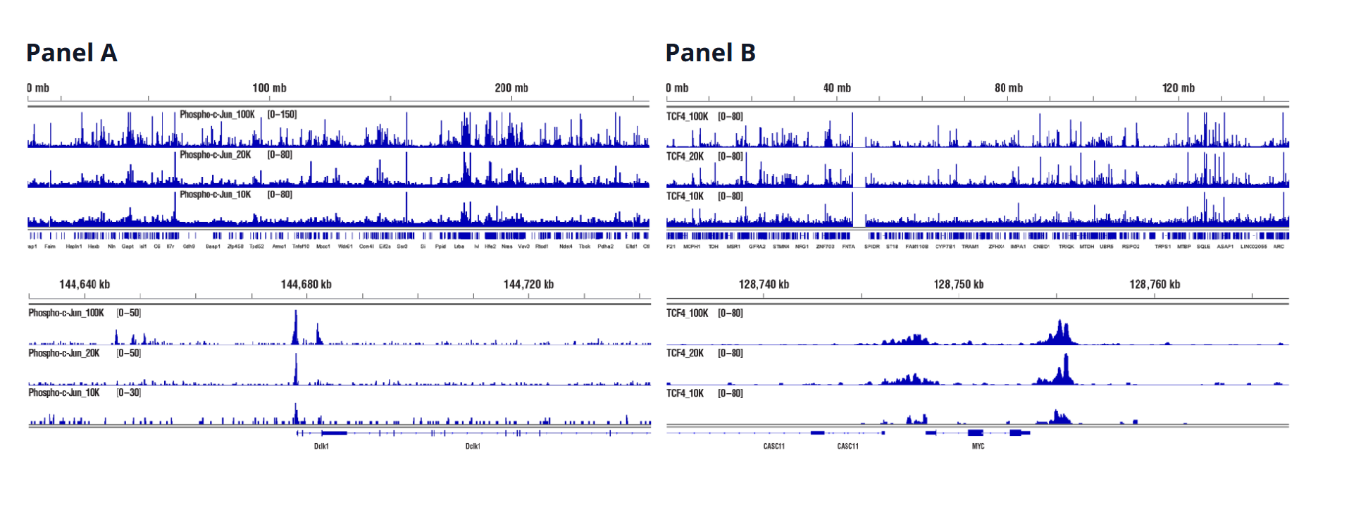Phospho-c-Jun NGS data for 100K, 20K & 10K cells
