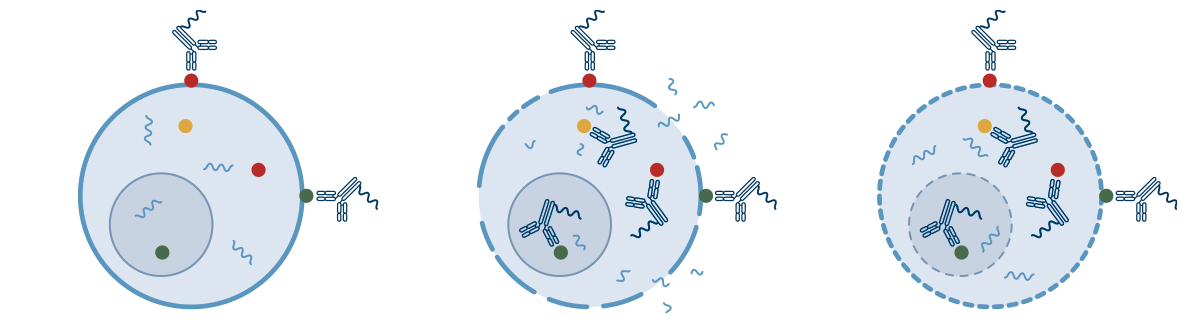 Graphic showing that InTraSeq™ Single Cell Analysis detects surface and intracellular proteins while guaranteeing a robust RNA signal, as opposed to other technologies attempting to capture intracellular protein in single-cell assays at the cost of RNA integrity.