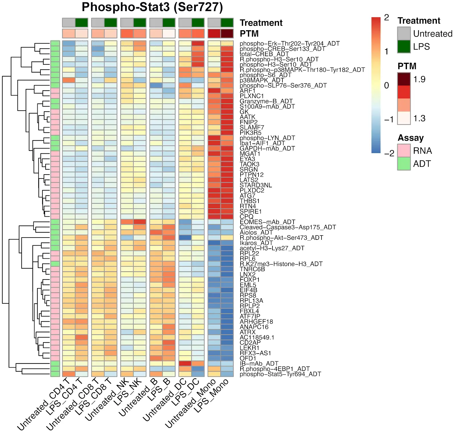 Phospho-Stat3 (Ser727) heatmap showing PTM levels correlated with RNA and protein and Phospho-p44/42 MARK (Erk1/2) (Tyr202/Tyr204) heatmap showing PTM levels correlated with RNA and protein.