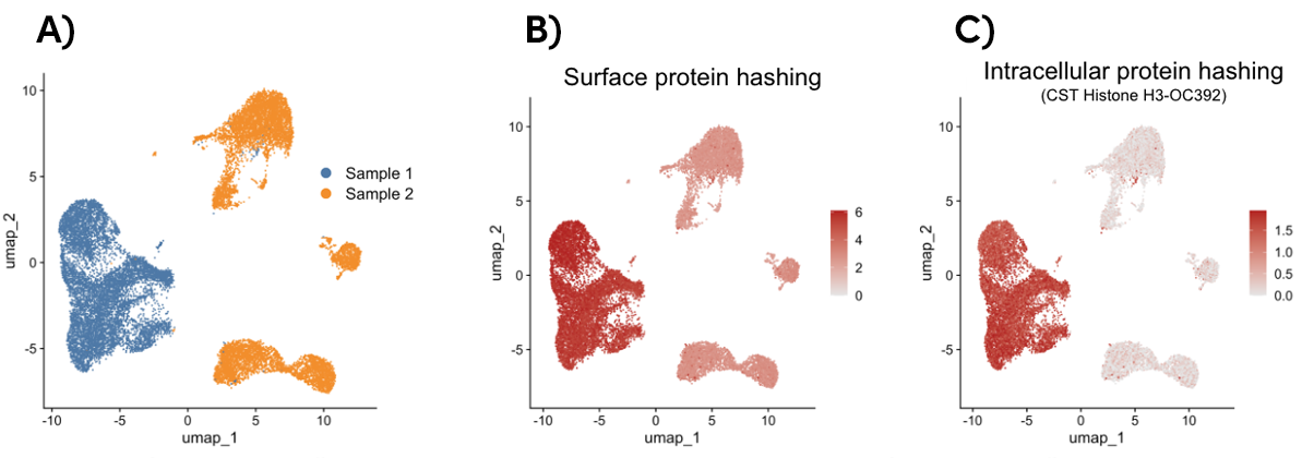 UMAP data comparing surface protein and intracellular protein multiplexing.