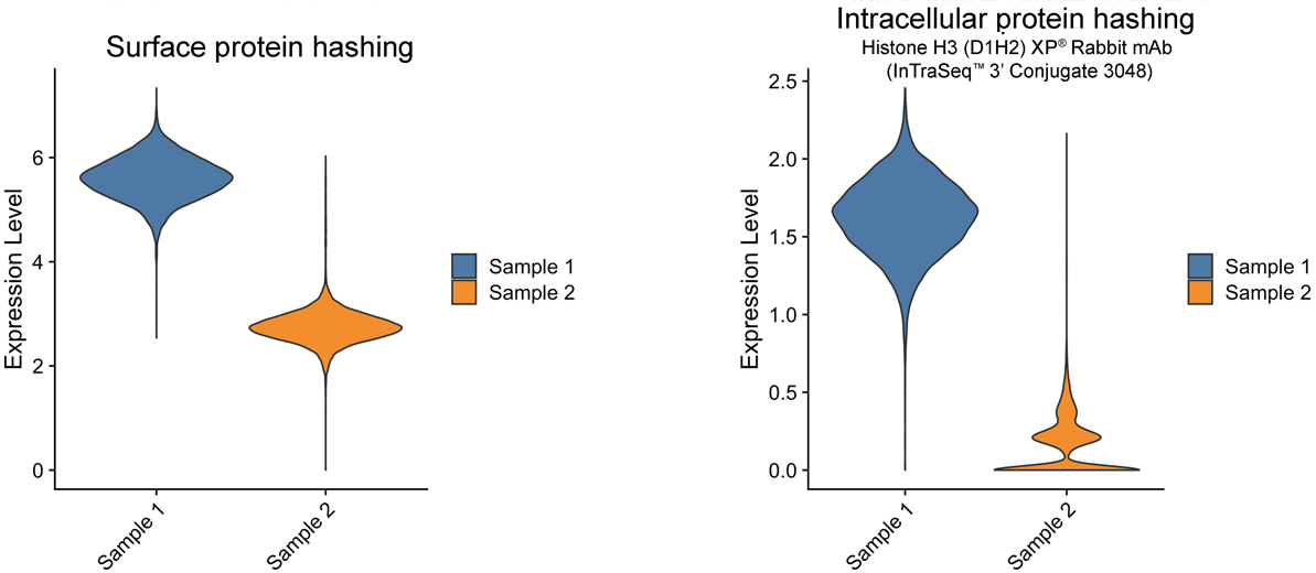 Violin plots depicting protein expression from two samples, labeled with surface protein and intracellular protein.