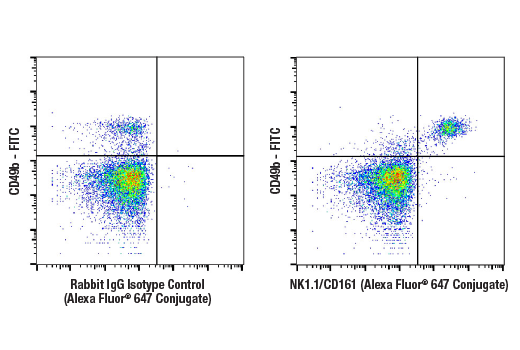 Flow cytometric analysis of live mouse C57BL/6 splenocytes using NK1.1/CD161 ( E6Y9G ) Rabbit mAb ( Alexa Fluor® 647 Conjugate ) ( right ) or concentration-matched Rabbit ( DA1E ) mAb IgG XP® Isotype Control ( Alexa Fluor® 647 Conjugate ) 2985 ( left ), costained with CD49b ( FITC Conjugate ).