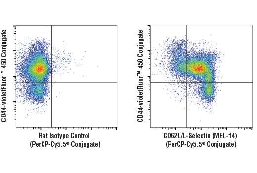 Flow cytometric analysis of live mouse splenocytes using CD62L/L-Selectin (MEL-14) Rat mAb (PerCP-Cy5.5®Conjugate) (right) compared to concentration-matched Rat Isotype Control (PerCP-Cy5.5®Conjugate) (left), co-stained with CD44 (IM7) Rat mAb (violetFluor™ 450 Conjugate) #53289.