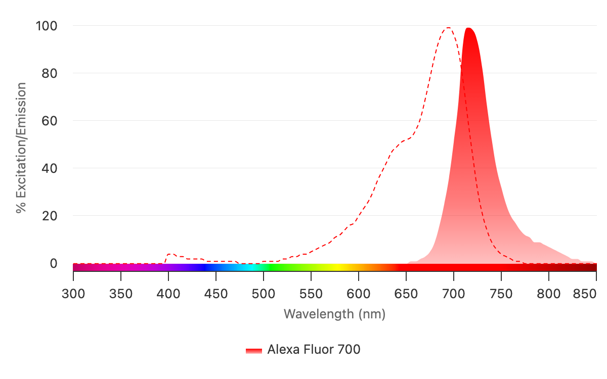 The absorption spectrum of Alexa Fluor 700 is represented by the dashed red line, and the emission spectrum is represented in solid red. For optimal results in multiplex labeling experiments, choose fluorophores with minimal overlap in excitation and/or emission spectra. Alexa Fluor 700 can be excited by standard 628-640 nm excitation lasers.