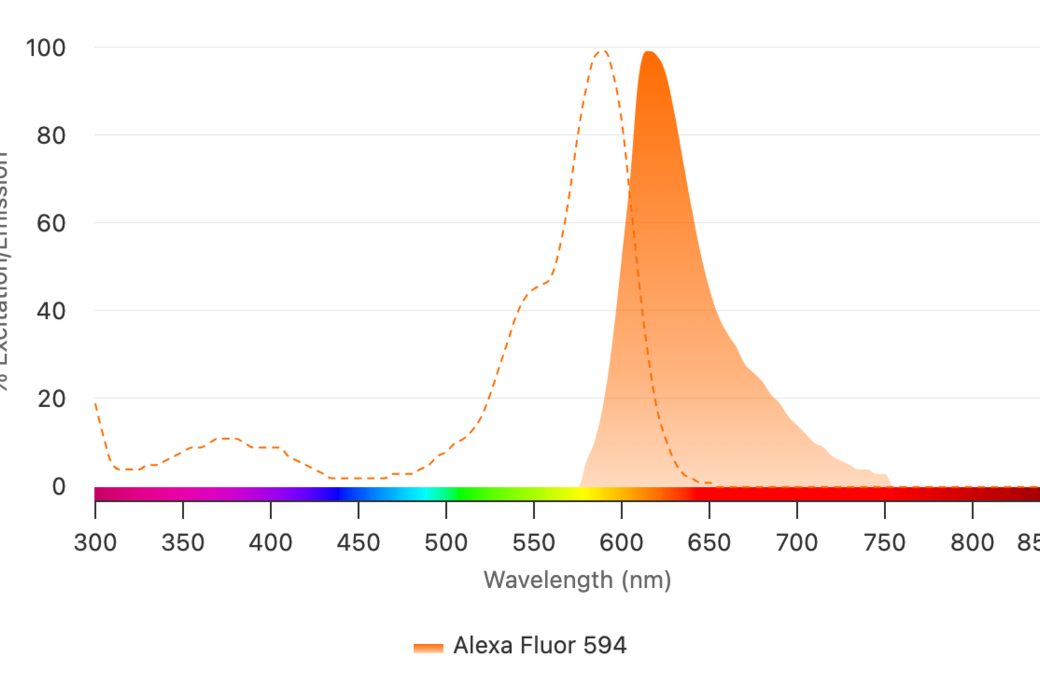 Graph of excitation spectrum of Alexa Fluor 594