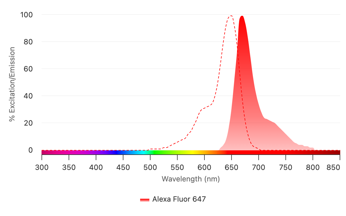 Excitation Spectrum for Alexa Fluor 647