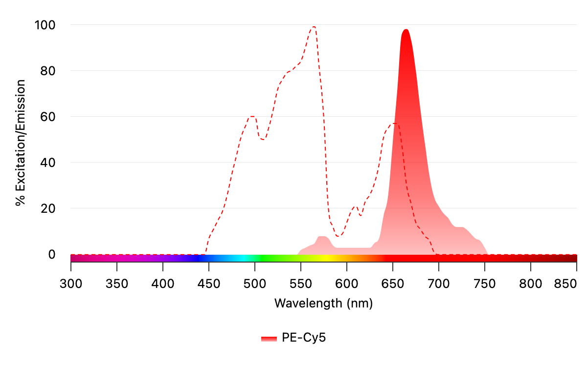 The excitation spectrum (dashed red line) and emission spectrum (solid red) for PE-Cy5 are shown above. As a tandem fluorophore, PE-Cy5 boasts a large Stokes shift and exceptional brightness, allowing you to achieve excitation with standard 488, 532, and 561 nm laser lines.