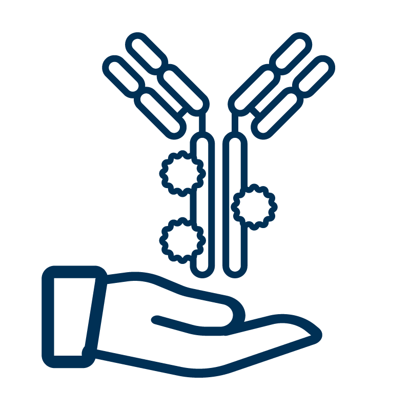 Line-art icon of a hand held out underneath an antibody with multiple conjugation sites, symbolizing custom labeling and conjugation services