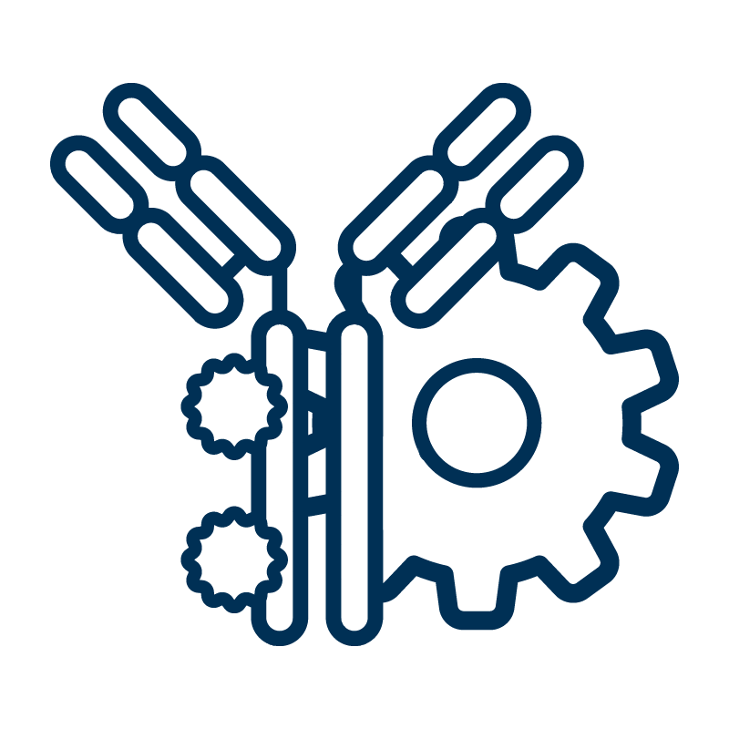 Line-art icon of an antibody with multiple conjugation sites and a gear, symbolizing on-demand SignalFlex™ Antibody Conjugates
