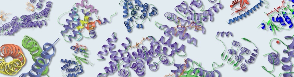Protein Domains & Interactions