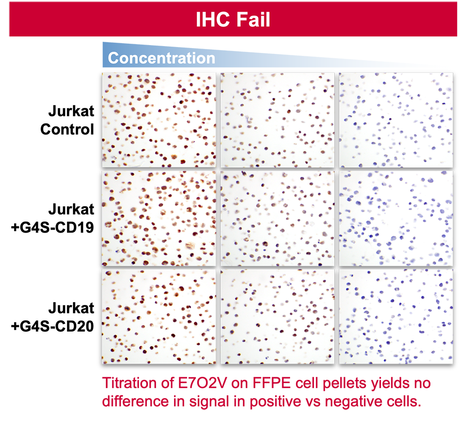 A series of line graphs and photographs showing an antibody passing Flow, but failing IHC. Text reads: Titration of E702V on FFPE cell pellets yields no difference in signal in positive vs negative cells.