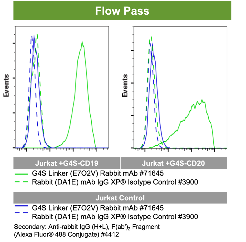 A series of line graphs and photographs showing an antibody passing Flow, but failing IHC. Text reads: Titration of E702V on FFPE cell pellets yields no difference in signal in positive vs negative cells.