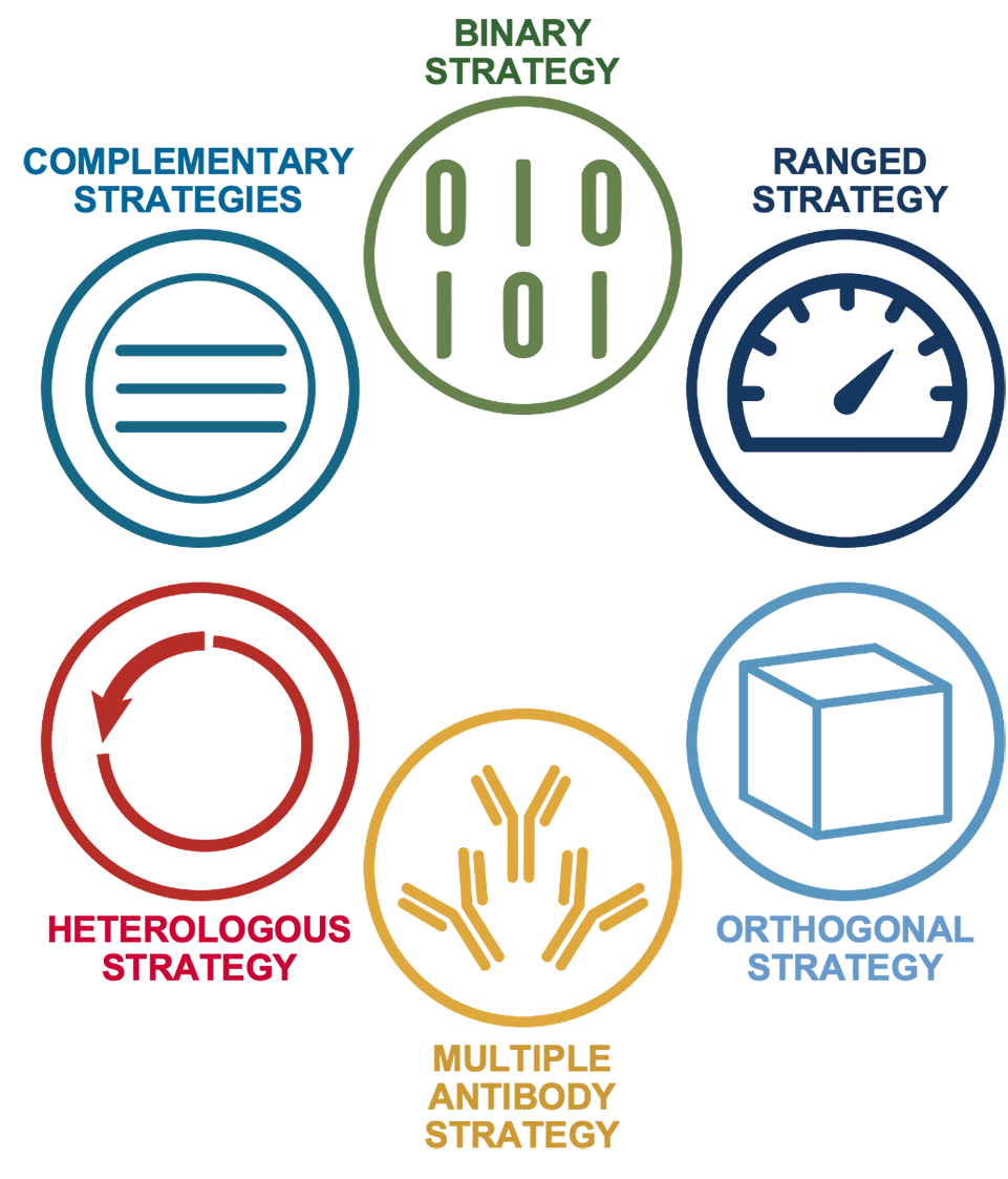 Icons, representing the CST Hallmarks of Antibody Validation, arranged in a ring. Text reads: BINARY STRATEGY, RANGED STRATEGY, ORTHOGONAL STRATEGY, MULTIPLE ANTIBODY STRATEGY, HETEROLOGOUS STRATEGY, and COMPLEMENTARY STRATEGIES.