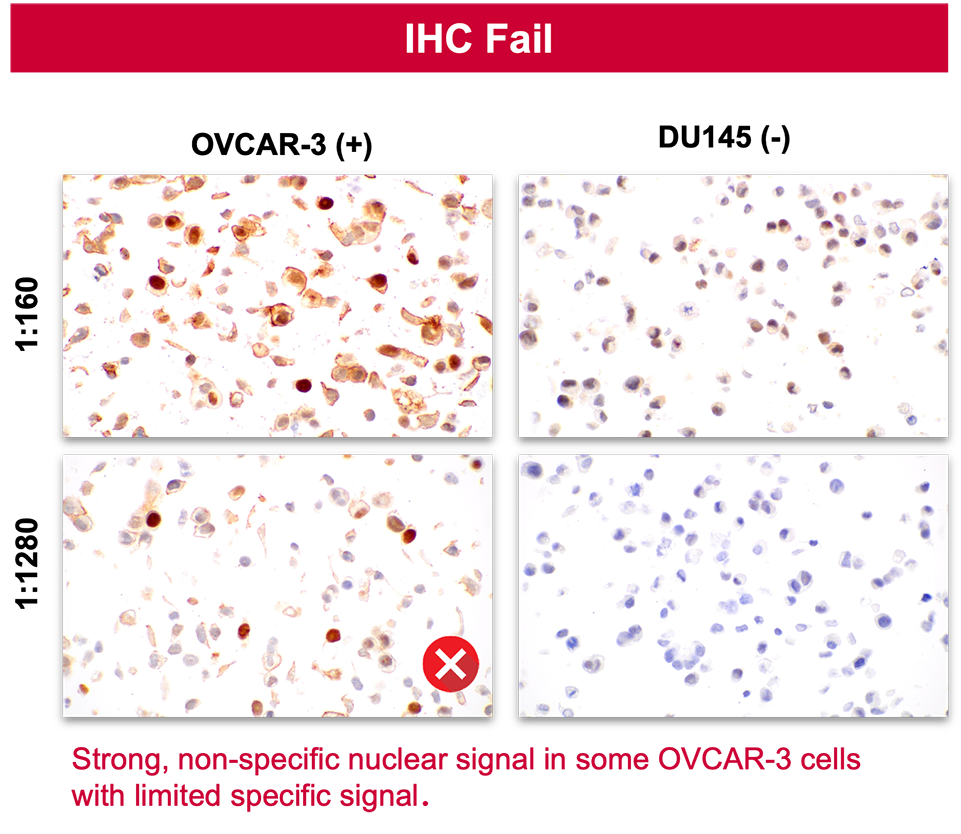 A series of photographs, showing how an antibody passed IF-IC but failed IHC. Text reads: Strong, non-specific nuclear signal in some OVCAR-3 cells with limited specific signal