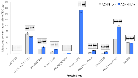 Immuno-PRM assay data and corresponding western blot results