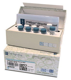 PTMScan Antibody Kits