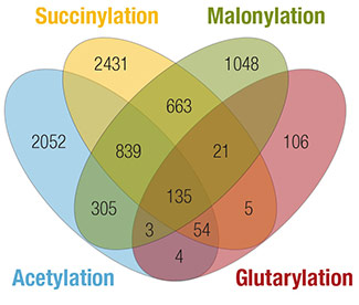 Acylscan Venn Diagram