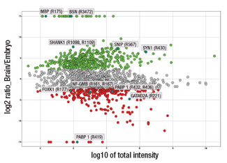 plot log2 r Discovery  CST Proteomic Signaling Cell  Services PTMScan®