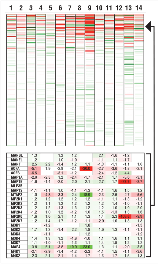 Slide 1 Heatmap