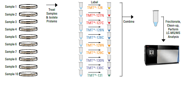 TMT Thermo