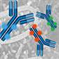 Carrier-free Formulated Antibodies for Your Platform