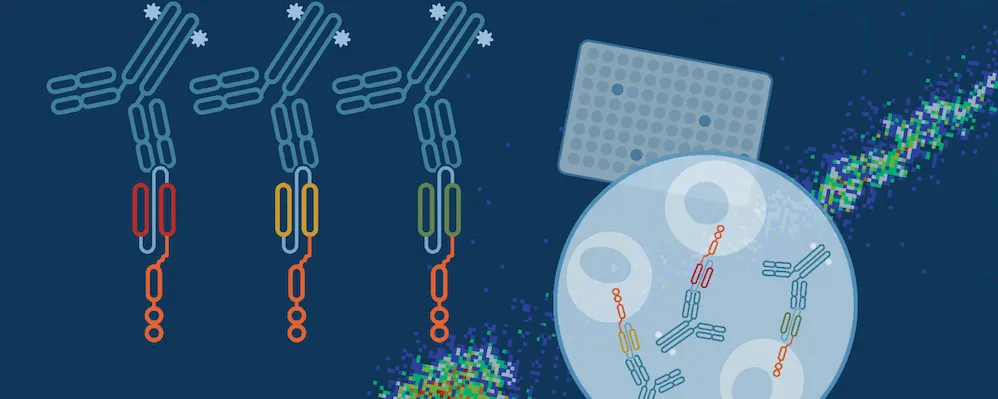 CAR-Engineered Cell Characterization Solutions