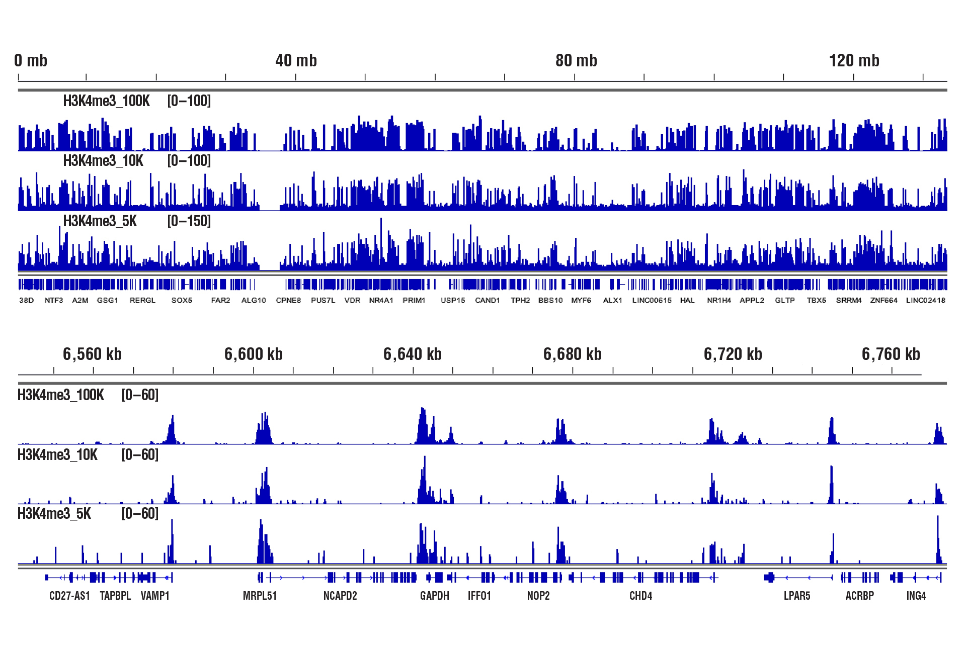 H3K4me3 NGS data for 100K, 10K & 5K cells