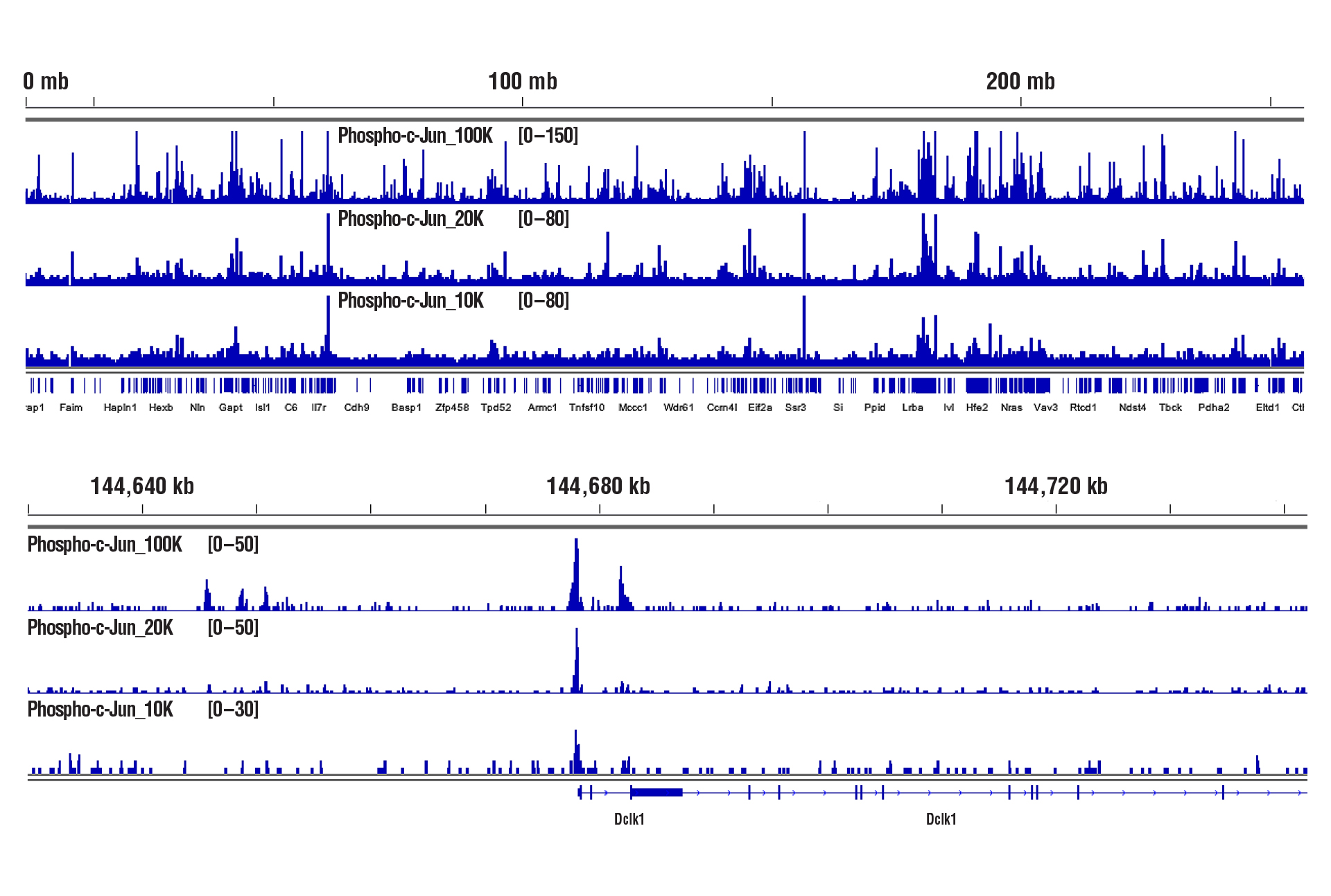 Phospho-c-Jun NGS data for 100K, 20K & 10K cells