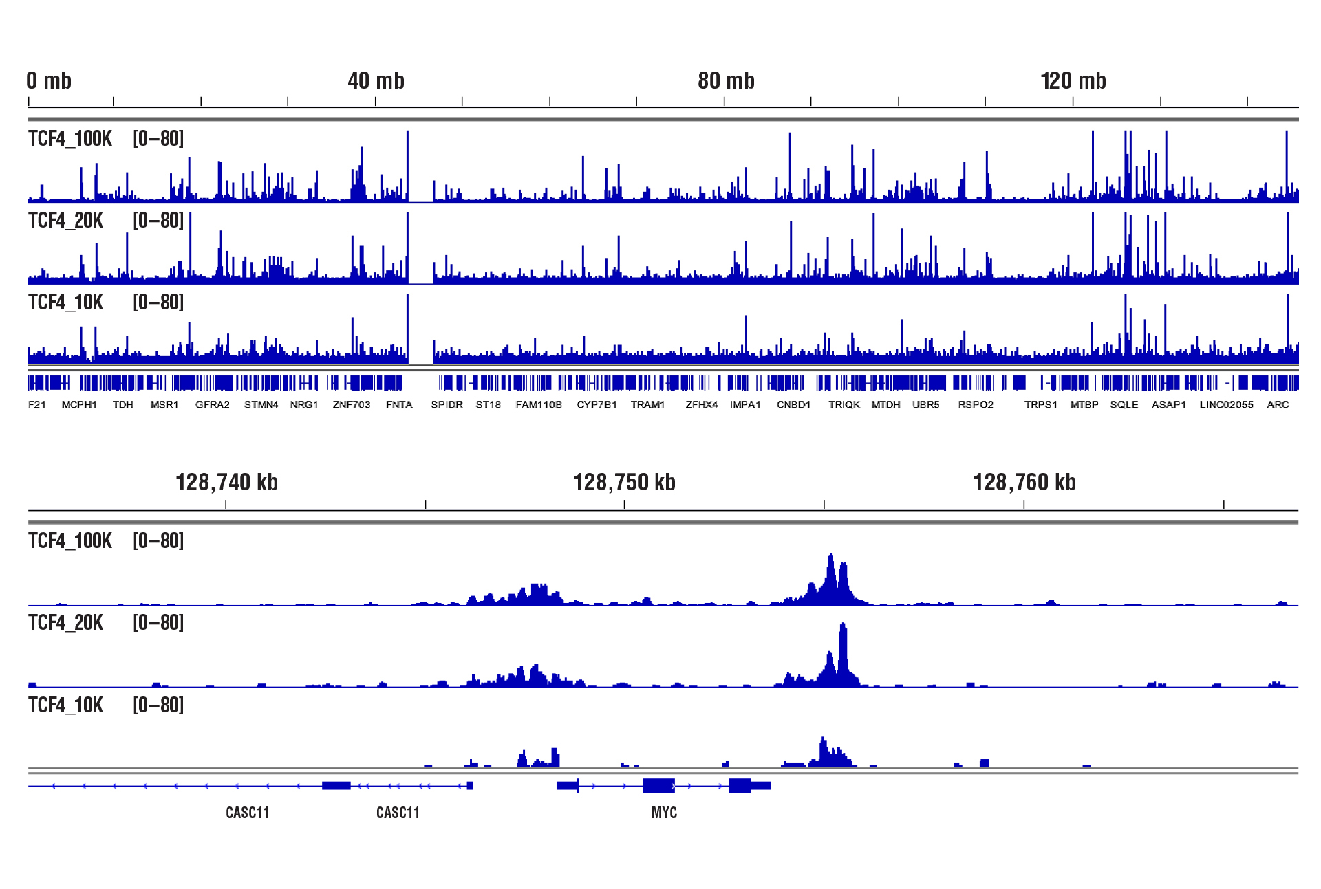 TCF4 NGS data for 100K, 20K & 10K cells