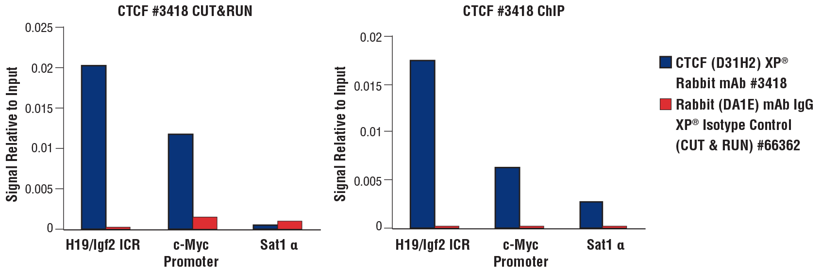 CTCF qPCR results for CUT&RUN and ChIP