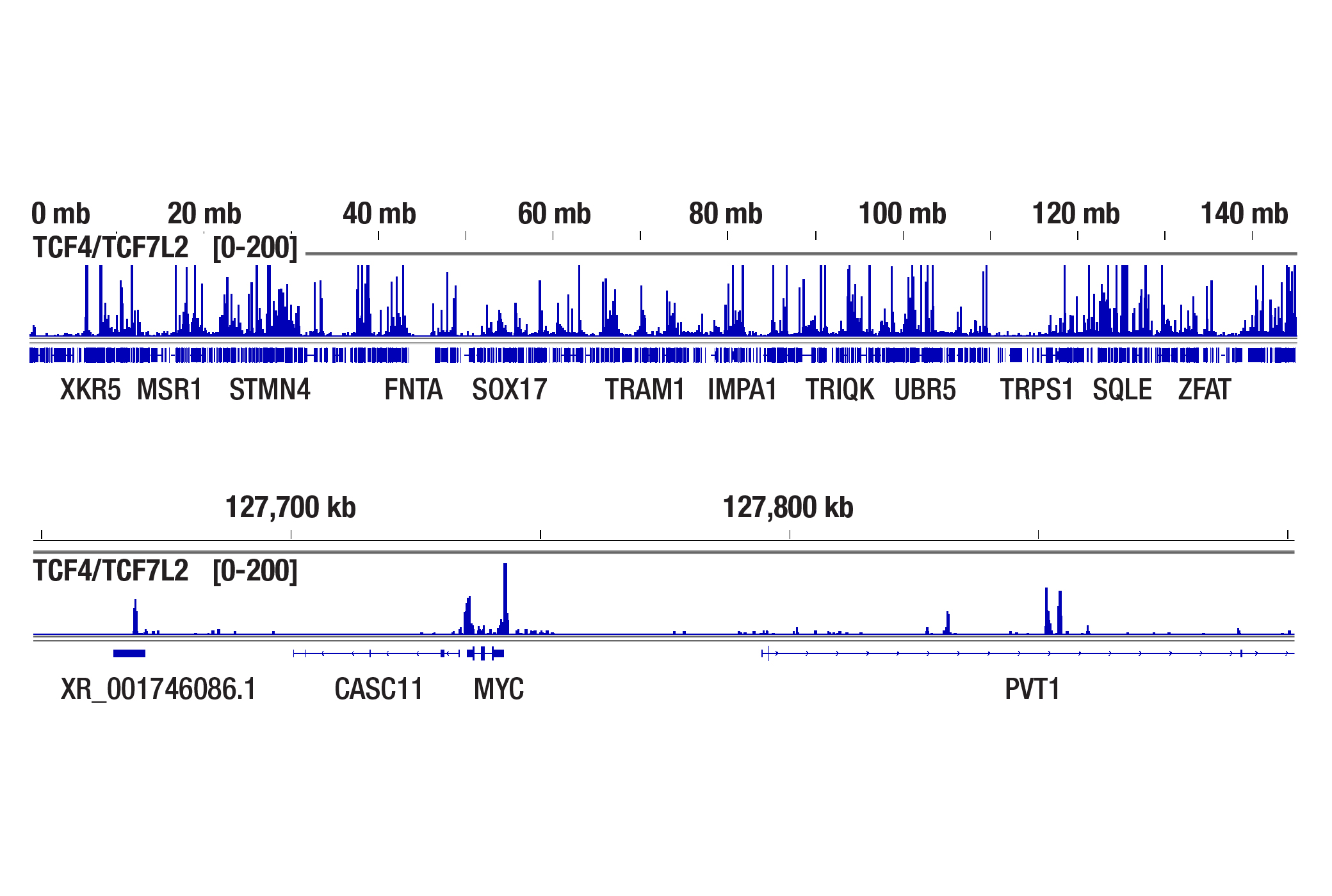 Does the CUT&Tag assay show a bias toward euchromatin or heterochromatin? (TCF4/TCF7L2)