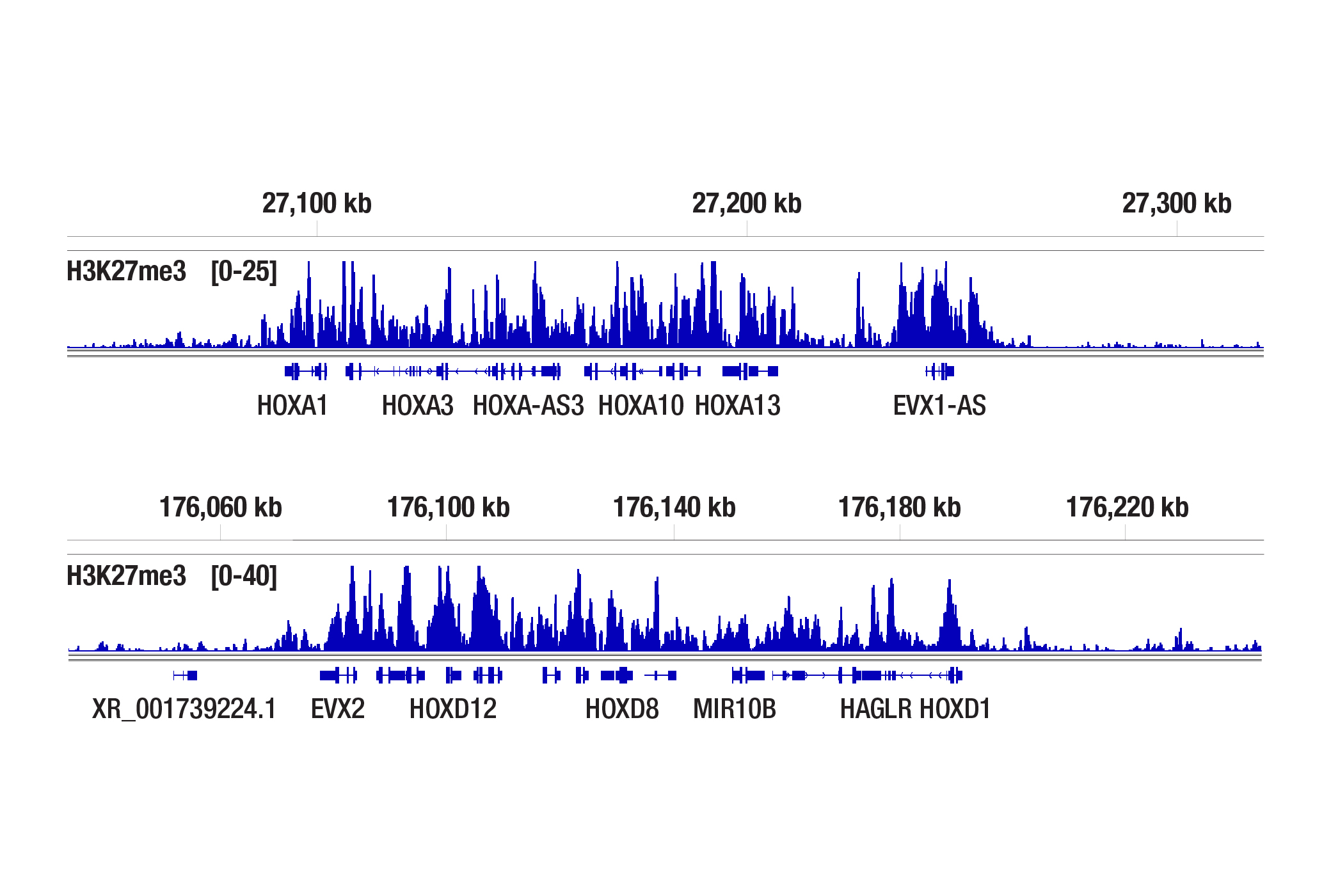 Does the CUT&Tag assay show a bias toward euchromatin or heterochromatin? (H3K27me3)