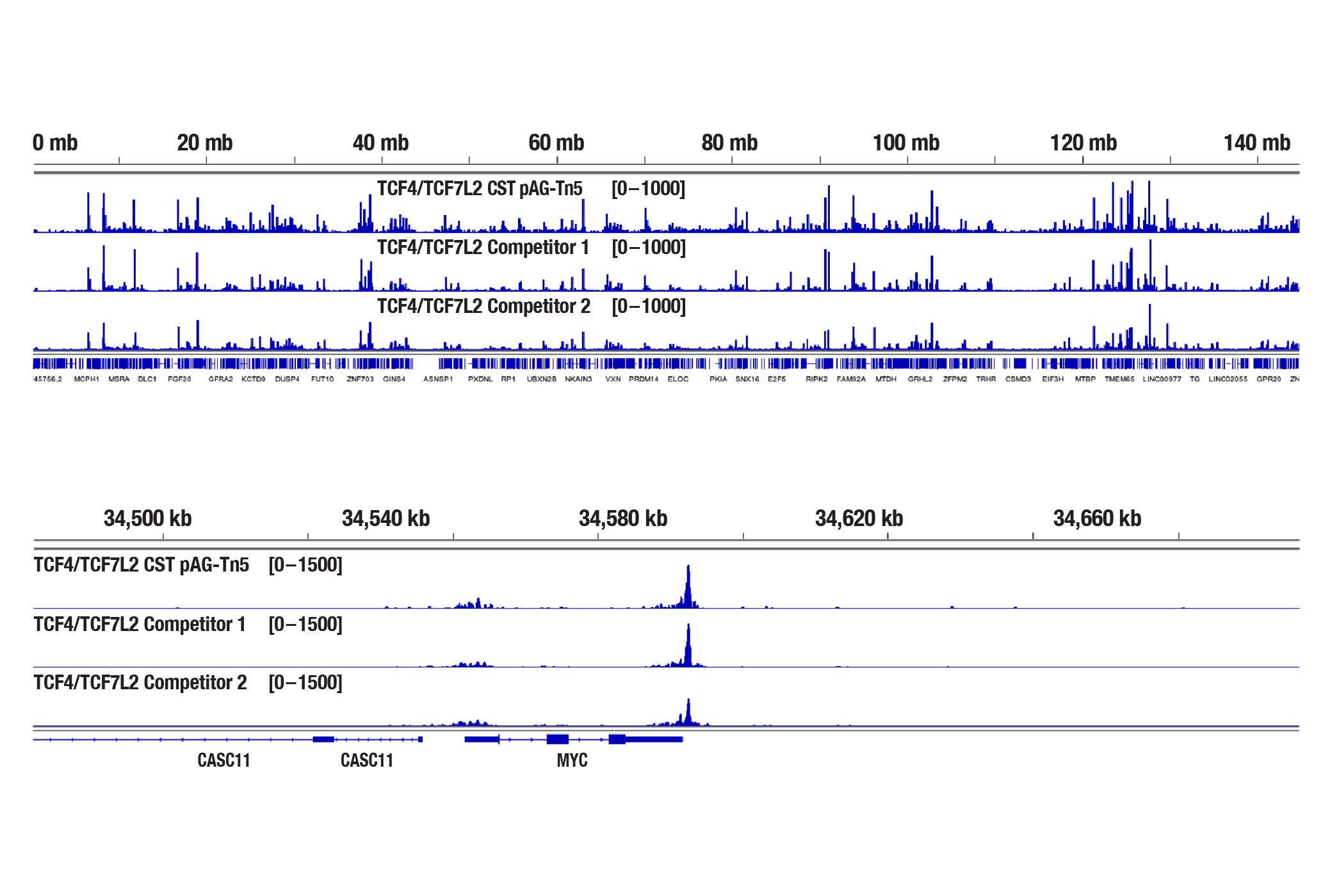 I would like to QC and analyze the fragment sizes of my CUT&Tag DNA before sequencing, but my yield is too low to see on an Agilent Bioanalyzer or TapeStation system. What should I do?