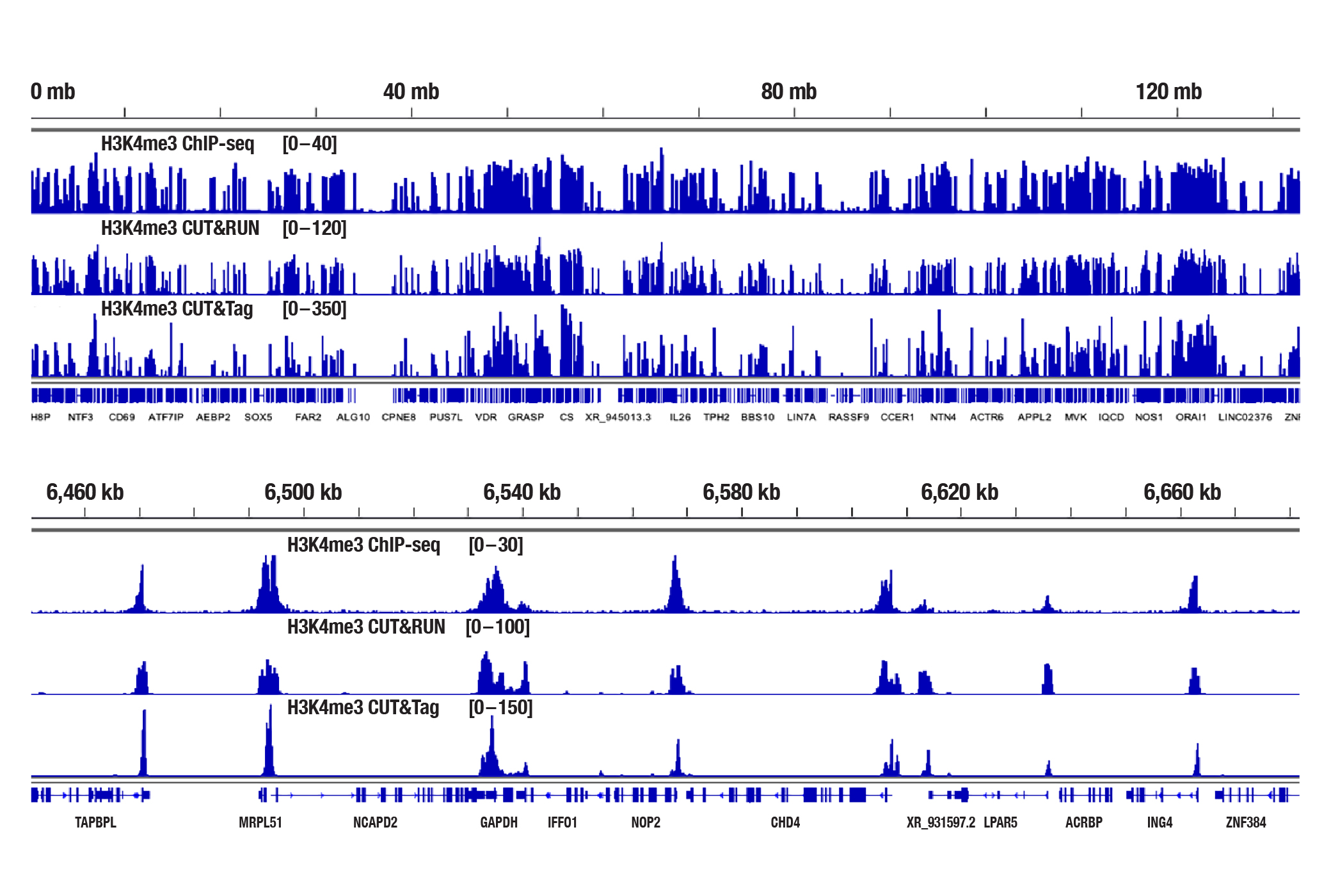 H3K4me3 sequencing results for ChIP-seq, CUT&RUN, and CUT&Tag