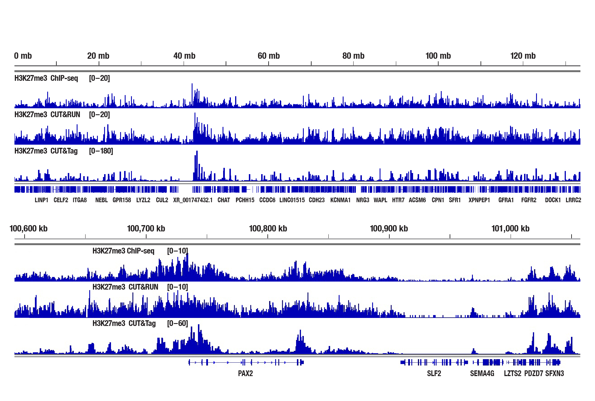 H3K27me3 sequencing results for ChIP-seq, CUT&RUN, and CUT&Tag
