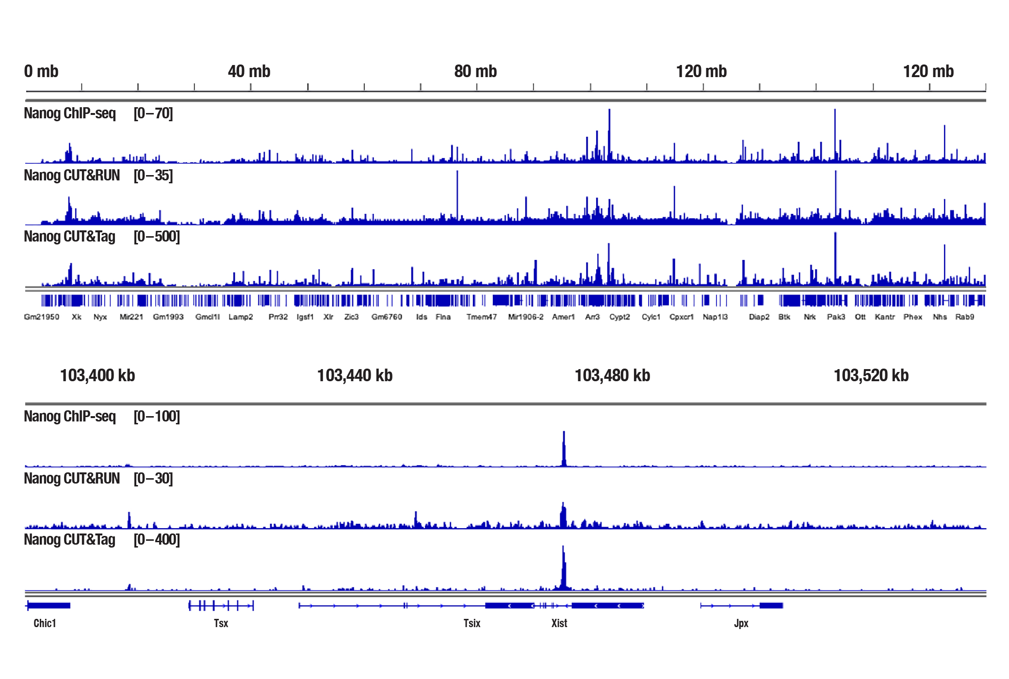 Nanog sequencing results for ChIP-seq, CUT&RUN, and CUT&Tag