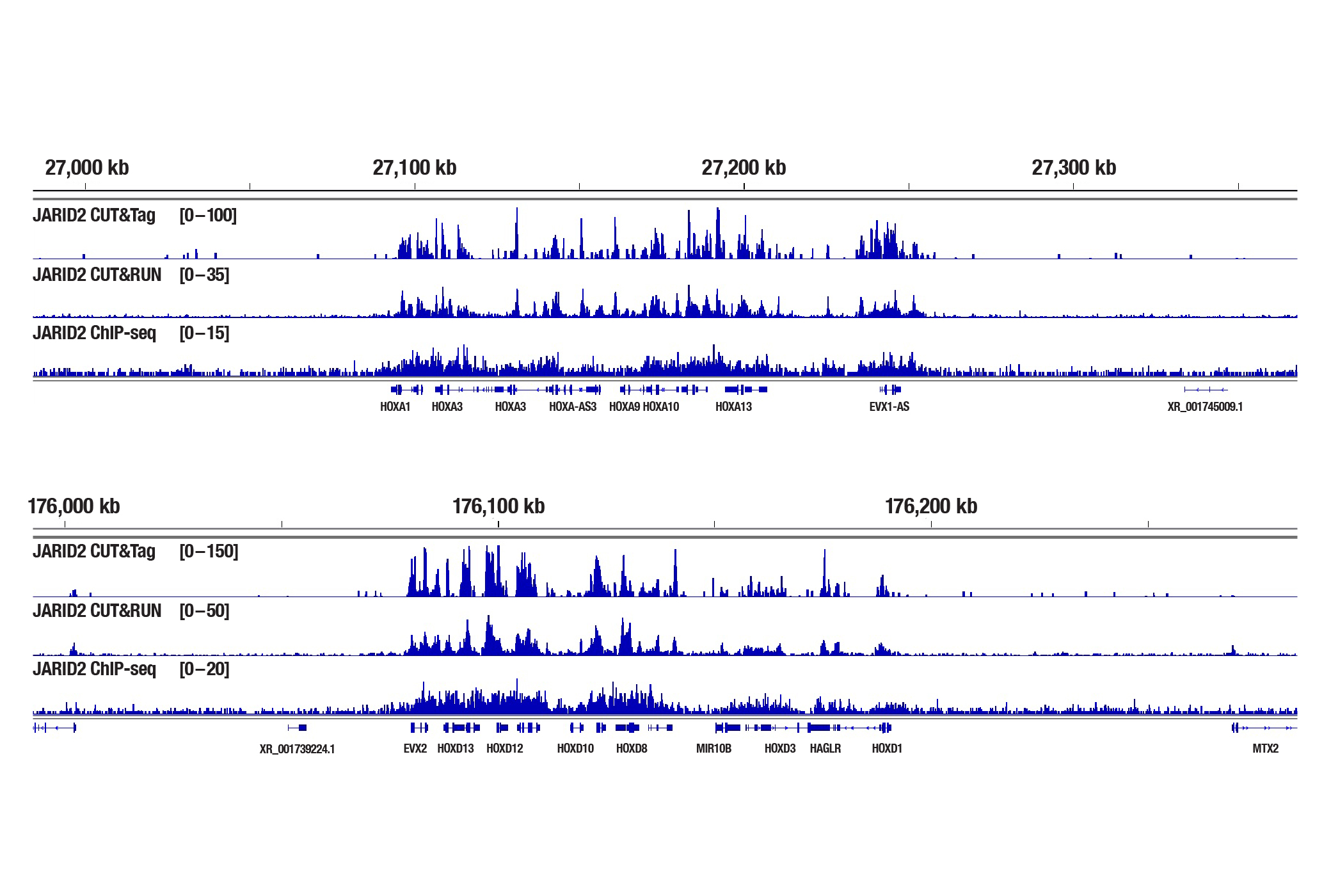 JARID2 sequencing results for ChIP-seq, CUT&RUN, and CUT&Tag
