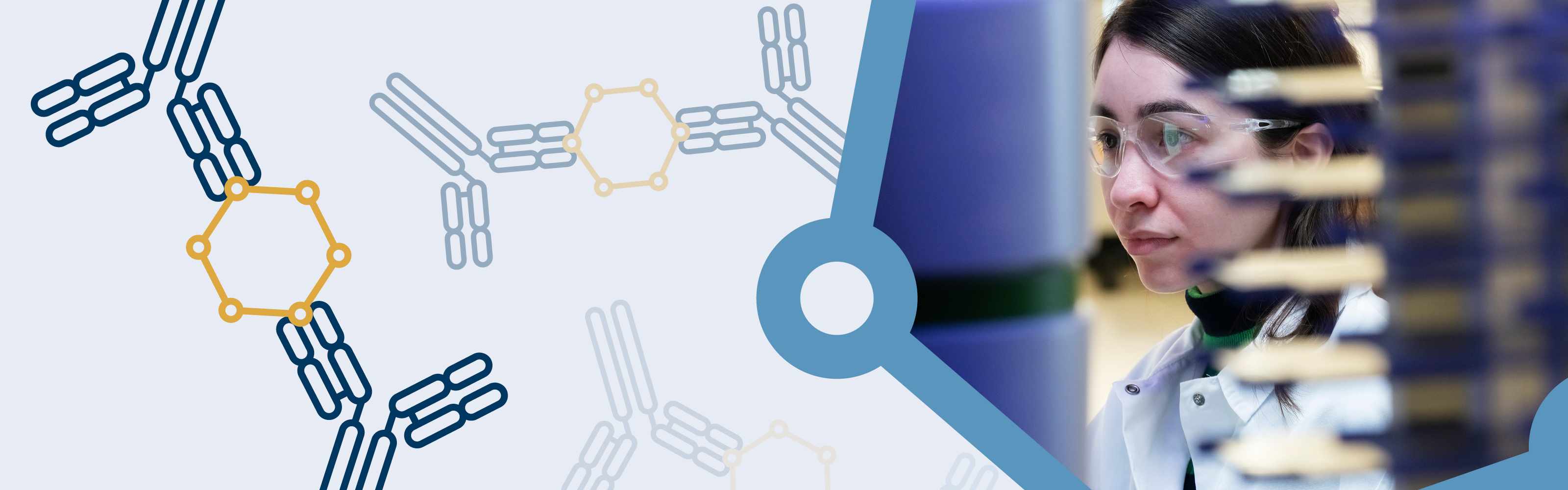 Matched Antibody Pairs