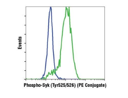 Phospho-Syk (Tyr525/526) (C87C1) Rabbit mAb (PE Conjugate) #6485