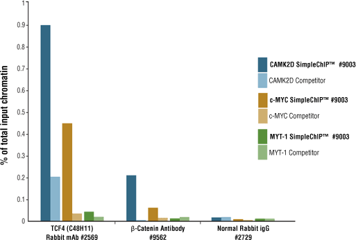 例B：CSTと競合他社のTCF4、βカテニン、Normal Rabbit IgGを比較した棒グラフ。