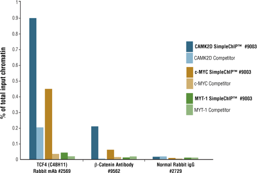 Example B: Bar graph comparing TCF4, beta-Catenin, and Normal Rabbit IgG based on CST vs. Competitor.