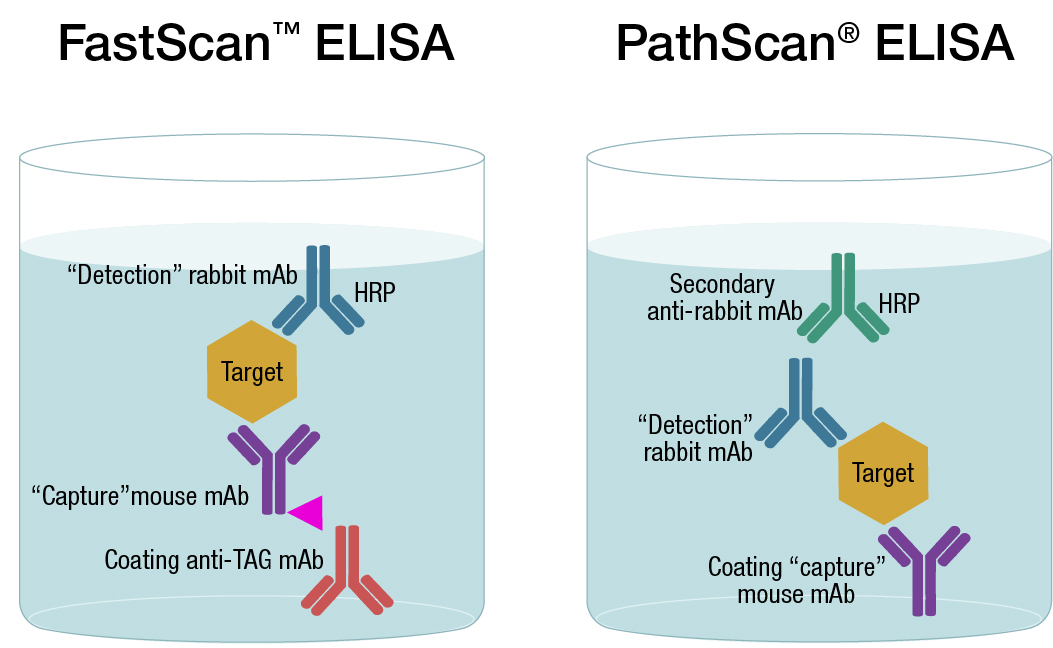 ELISA PathScan ELISA comparison