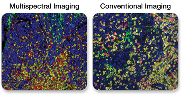 Multispectral vs. Conventional