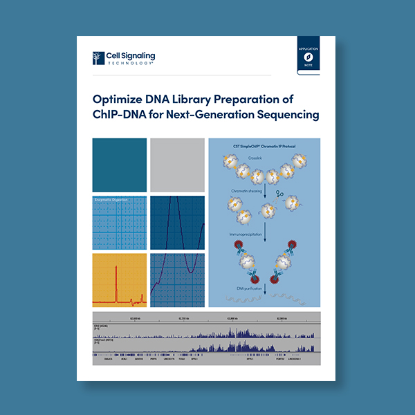 eBook: The Researcher's Guide to the Hallmarks of Cancer