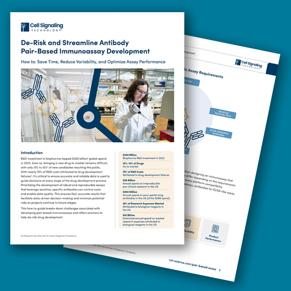 How-to Guide: De-Risk and Streamline Antibody Pair-Based Assay Development